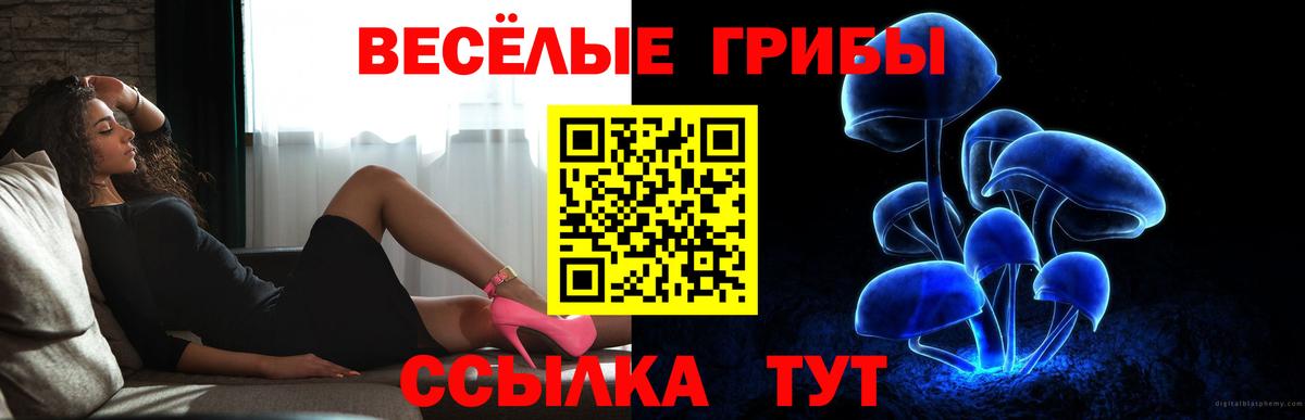 Галлюциногенные грибы ЛСД  Вход с VPN  Заречный 